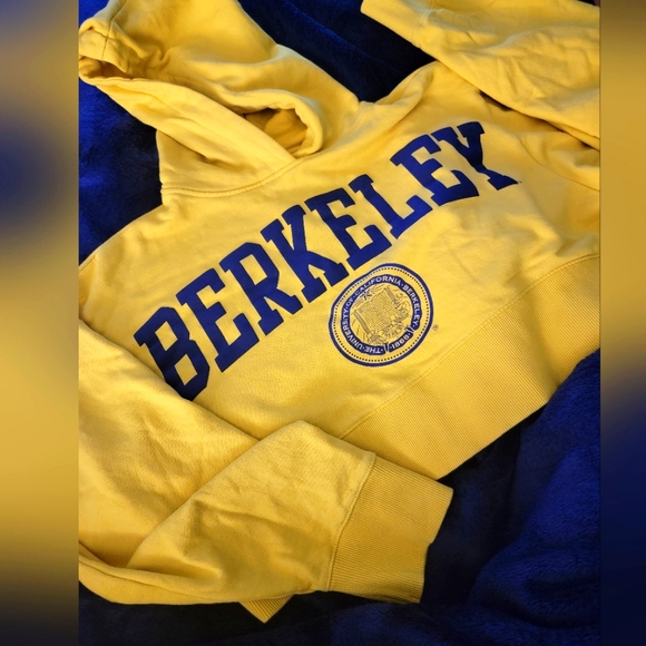 Berkeley university Tops - Zara / Berkeley university crop logo hooded sweatshirt.....